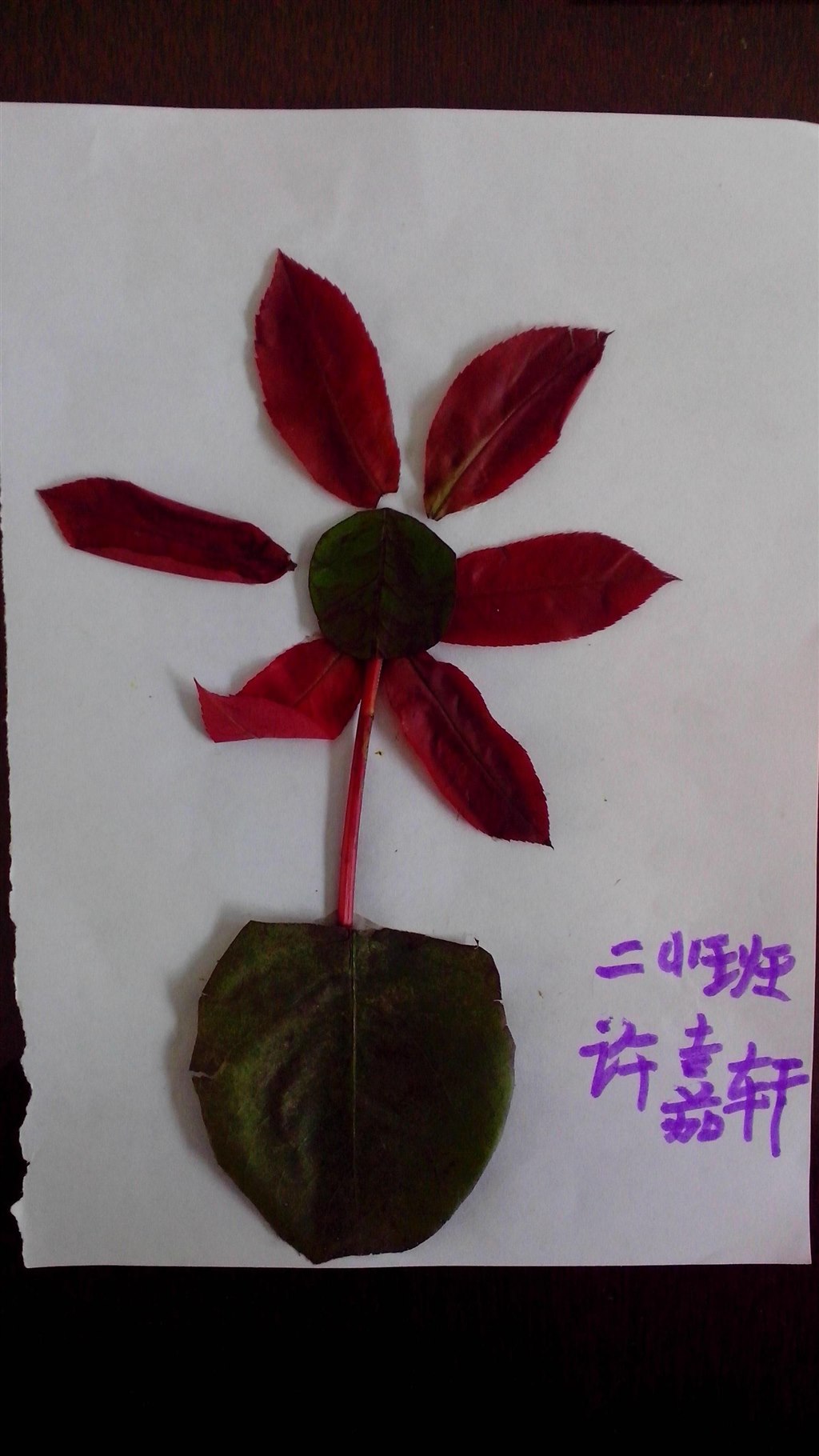 秋天的叶贴画