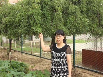 魅力老师、魅力班主任——杨玲…
