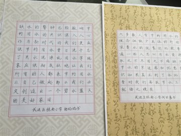 林南小学“生命之水”参赛作品…