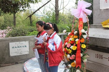2015清明节活动总结