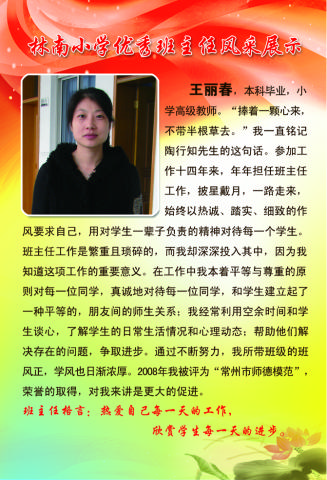 林南小学优秀班主任之四：王丽…