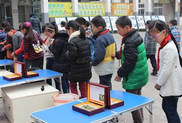 林小开展珍爱生命，远离诱惑科…