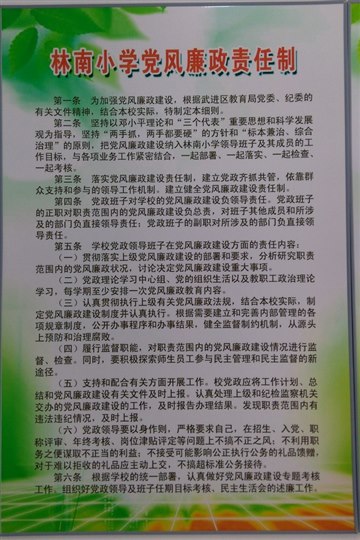 林南小学党风廉政责任制