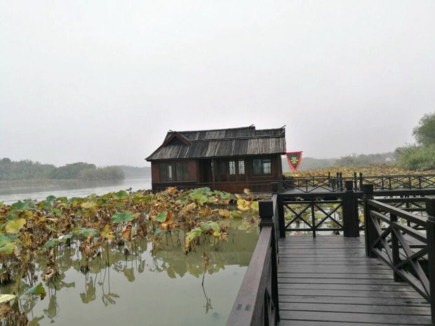 QQ图片20161121133955_副本.jpg