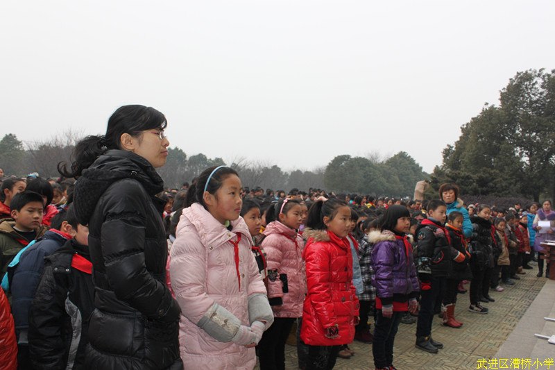 请使用鼠标滚轮缩放图片! 800×533