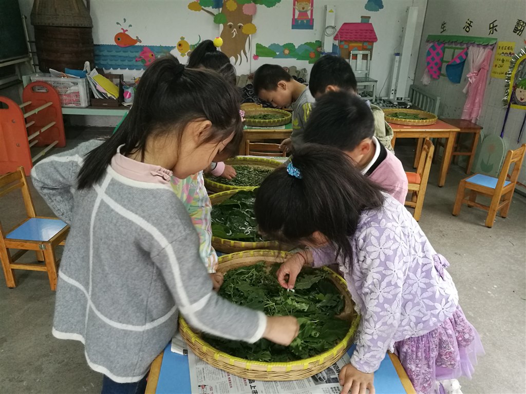 班级网站IMG_20170505_080548.jpg