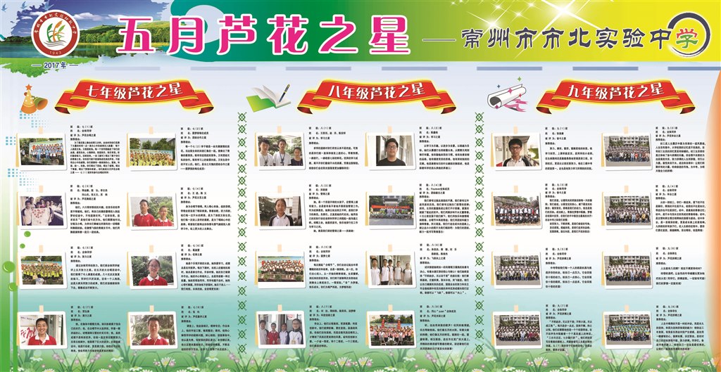 5月芦花.jpg