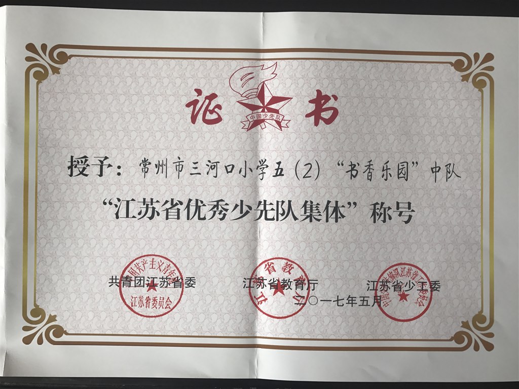 省优秀中队（拍照）.JPG