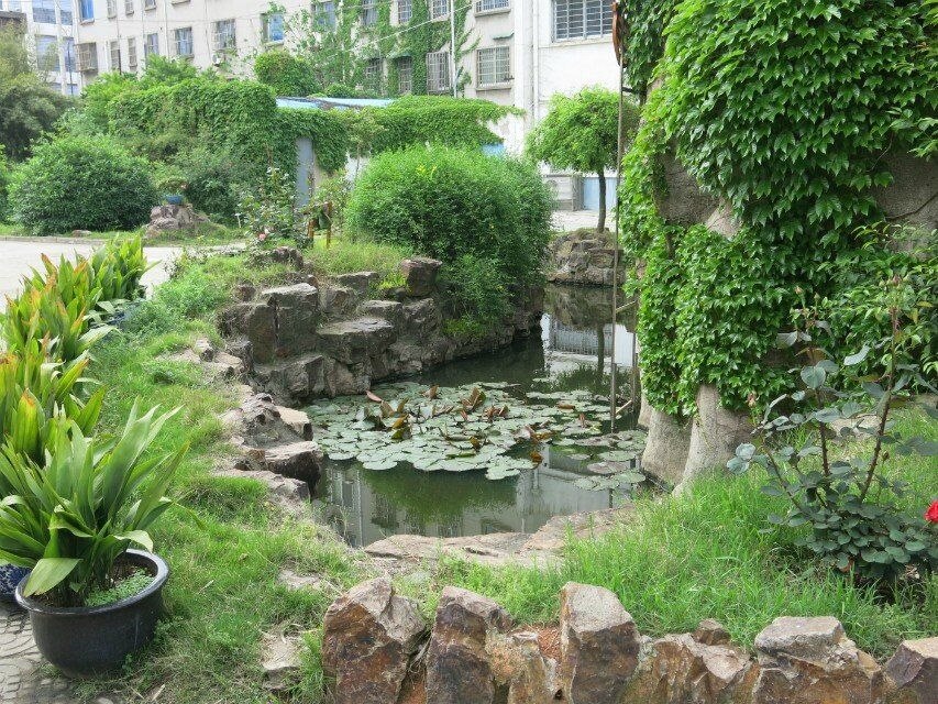 QQ图片20170702095127.jpg