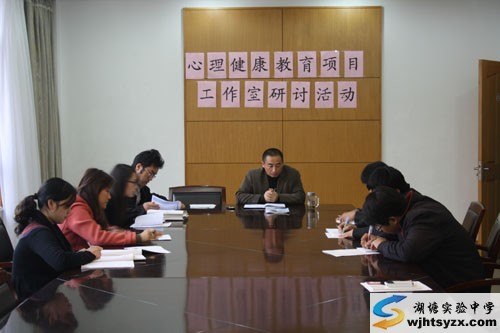 心理健康教育项目工作室研讨活动