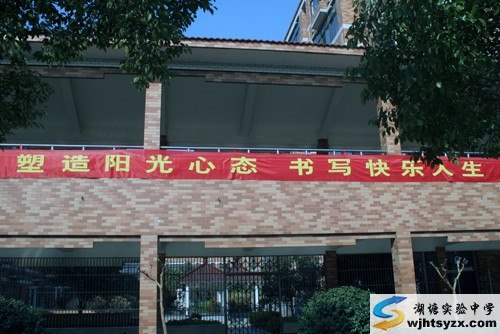 心理健康教育宣传横幅