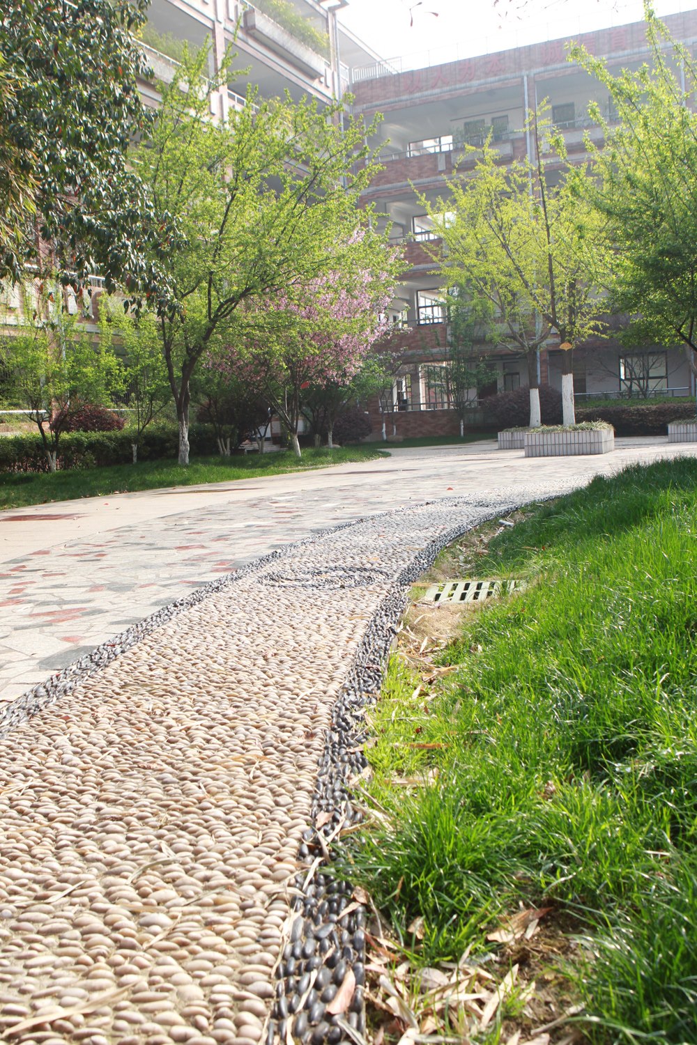 蜿蜒的校园小路.jpg