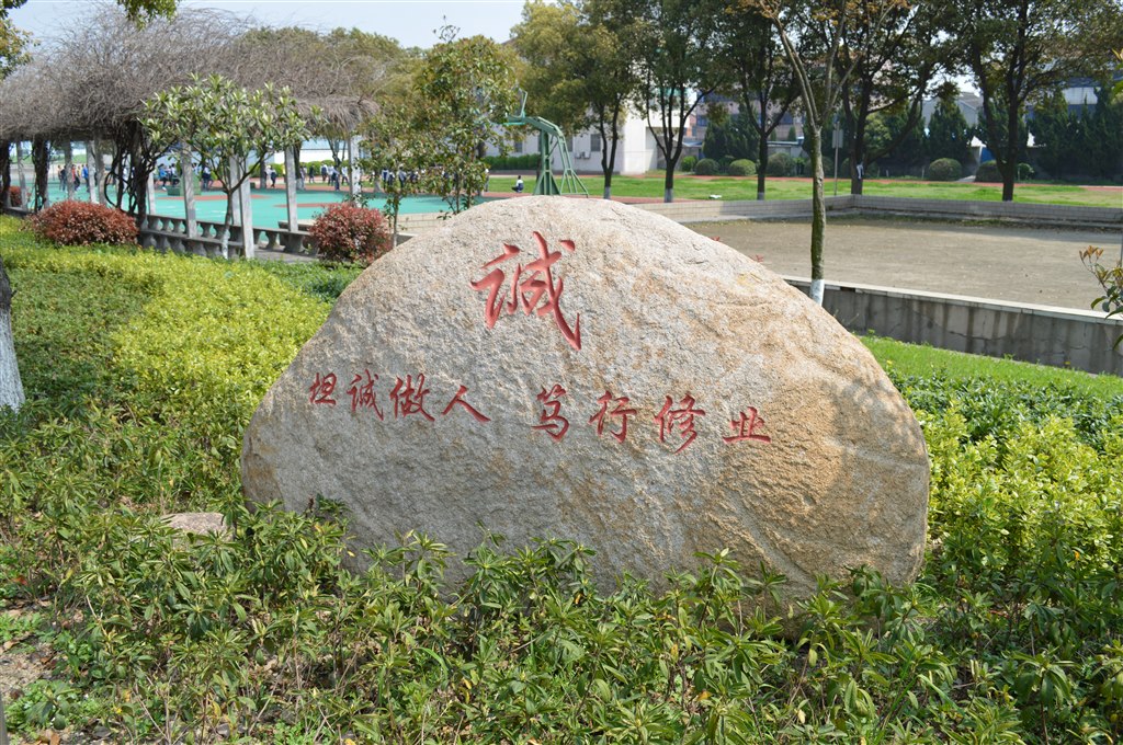 DSC_3384.jpg