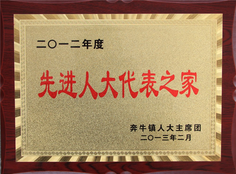 证书奖牌 (1).jpg