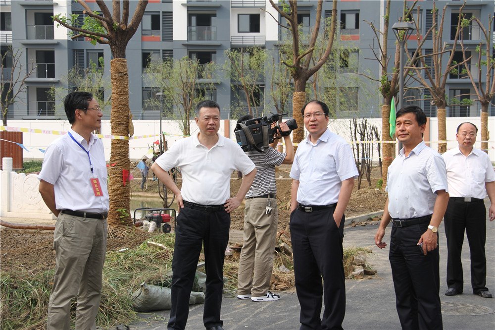 王副市长 (2).jpg