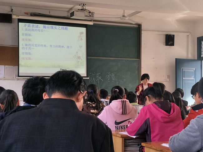 费燕芬11.jpg