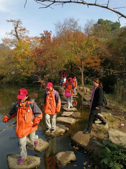 IMG_20171125_095457.jpg