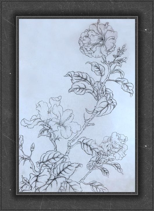 八（8）班吴苏湘.jpg
