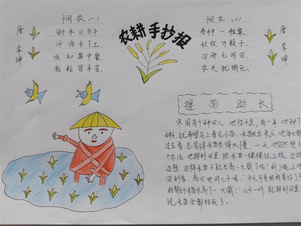 手抄报1.jpg