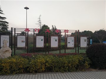 彭红蕾老师事迹荣登镇“善行义…