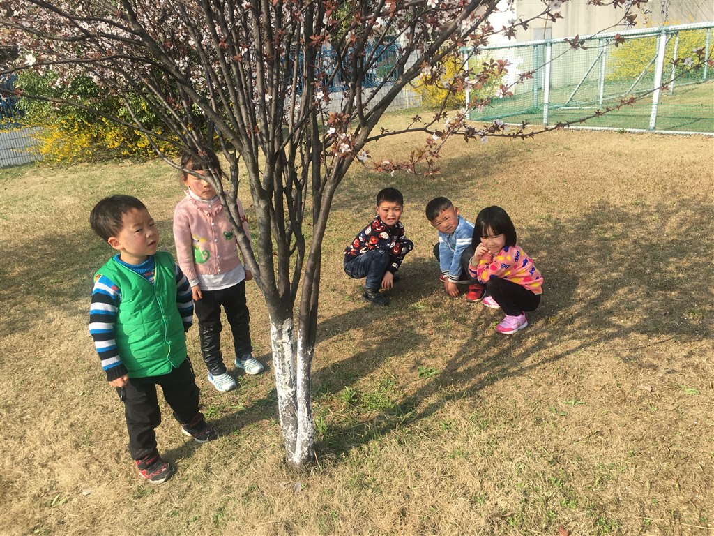 IMG_1772.JPG