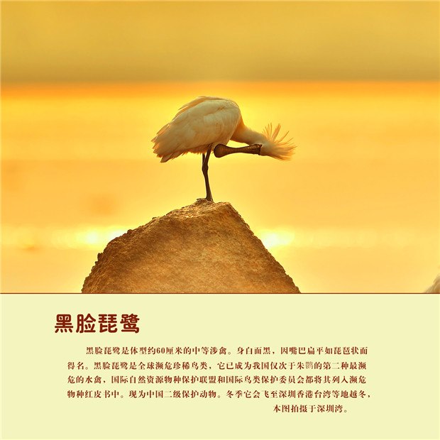 10 - 副本.jpg