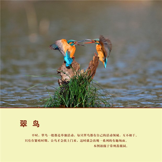 11 - 副本.jpg