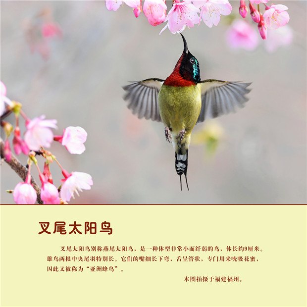 9 - 副本.jpg