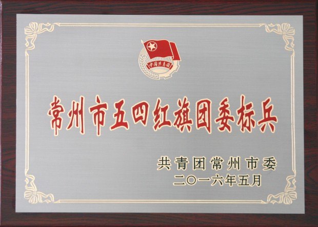 201605常州市五四红旗团委标兵.JPG
