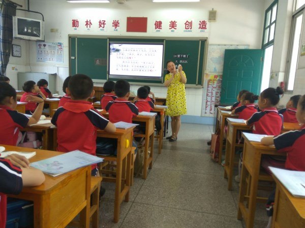 杨丹.jpg