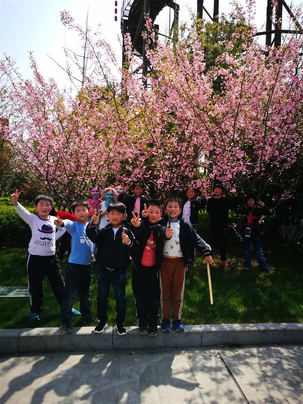 IMG_20180328_125600.jpg