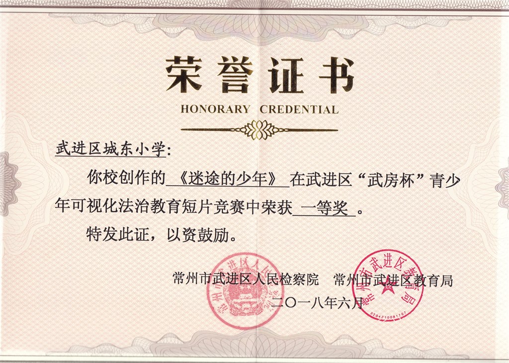 武进区城东小学 可视化法治教育短片一等奖.jpg