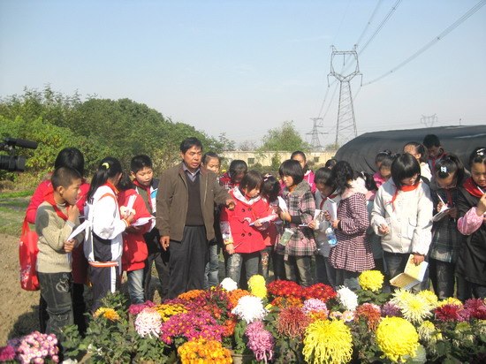 2010112316501713134.jpg