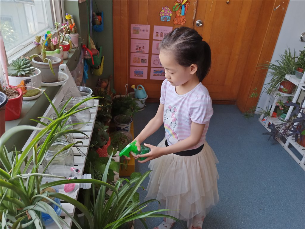 IMG20180612145026.jpg