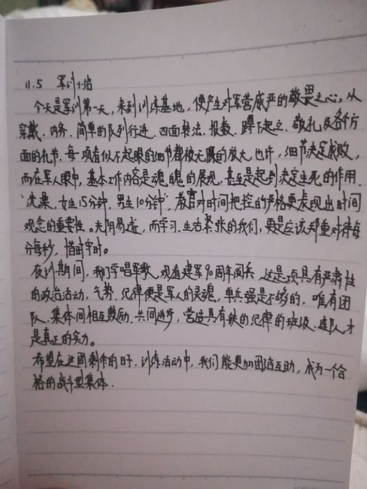 高一七班：飞扬的文字