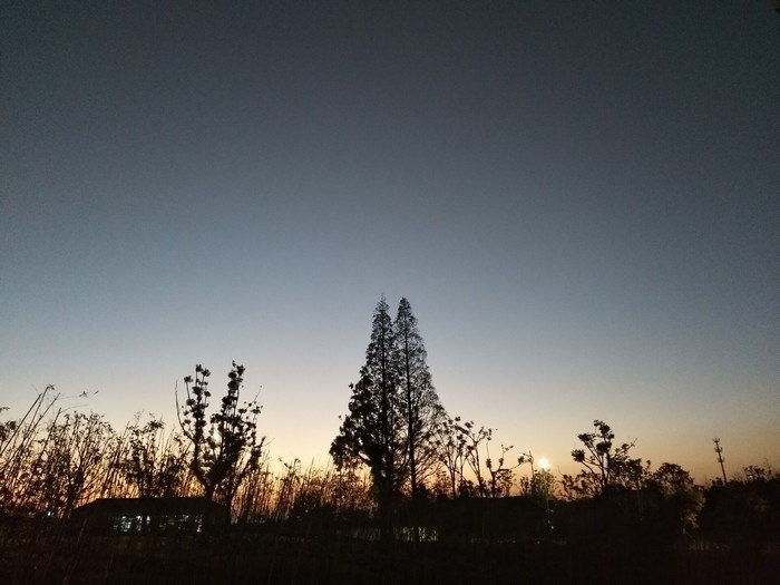 高一（9）班_【美丽花山】