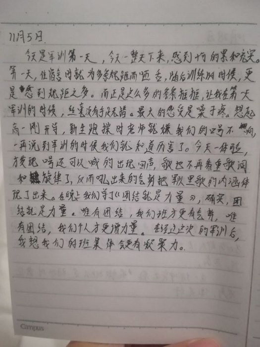 高一七班：飞扬的文字