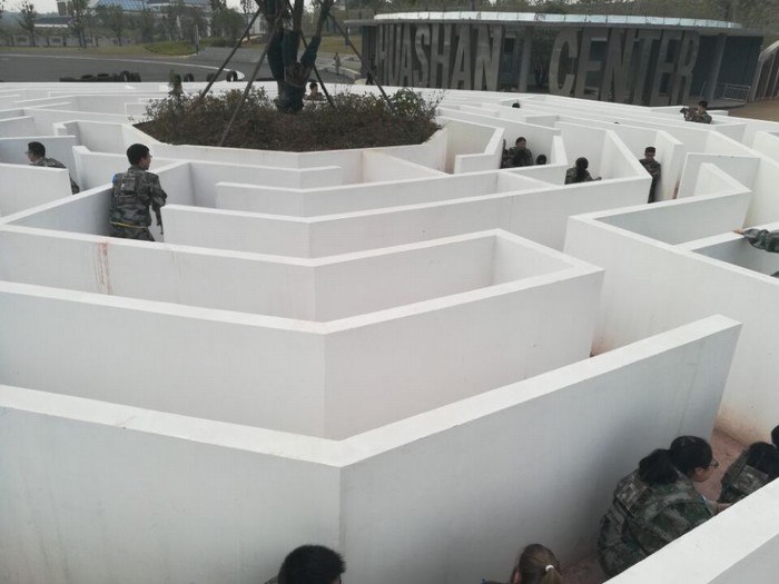 高一（2）班_军训拓展训练