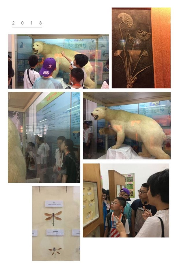 QQ图片20180709185608.jpg