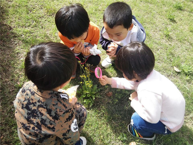 2017.4.24 龙幼探春季：我和春天有个约会3.jpg