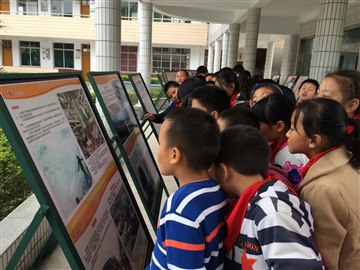 西夏墅中心小学开展“珍爱生命”的科普教育活动