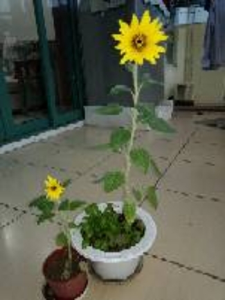 -2ca5ceaba5cc04c1.jpg.JPG