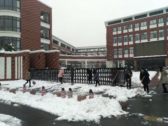IMG_20180128_084223.jpg