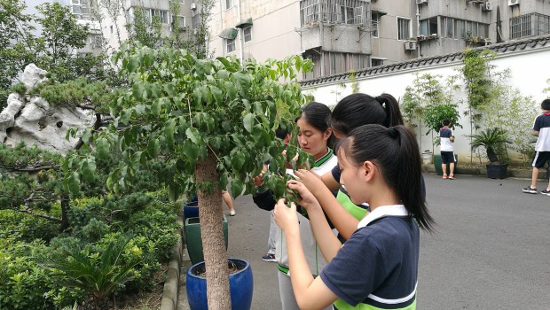 QQ图片20180920172245.jpg