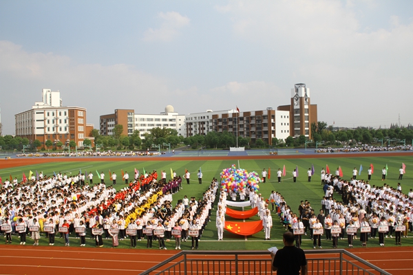 IMG_8208.JPG IMG_8208.JPG