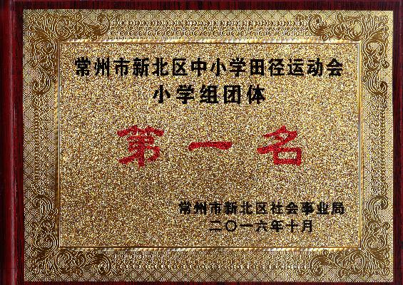 区运动会.jpg