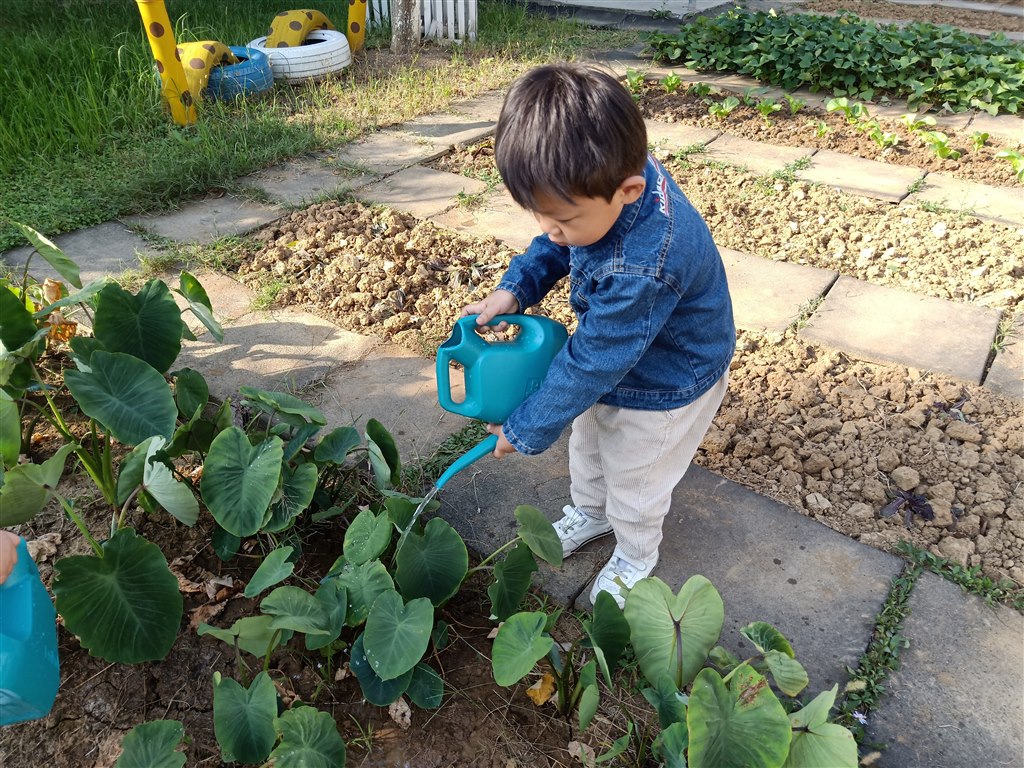 IMG20181012083054.jpg