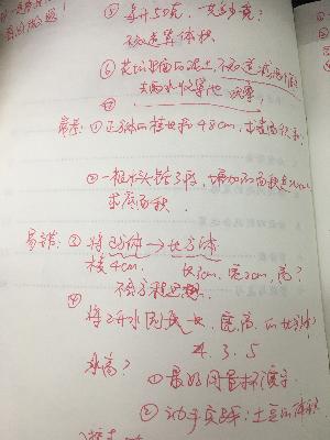 66.JPG