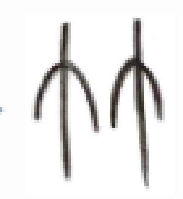 blob.png