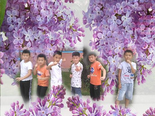 丁香花小队3.jpg